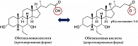 Рис. 2. Формула протонированной и депротонированной формы обетихолевой кислоты