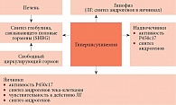 Схема действия инсулина при СПКЯ