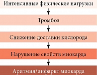 Патогенез формирования синдрома спортивного сердца