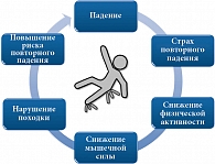 Рис. 4. Спектр последствий перенесенного падения