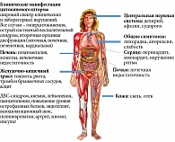 Рис. 3. Клинические манифестации цитокинового шторма