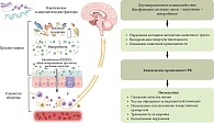 Рис. 2. Патофизиология и клинические последствия СРК