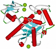 Рисунок 9. Пространственная структура каталитического домена ADAMTS13 протеиназы (модель на основе PDB-файла 2JIH), осуществляющей протеолитическую трансформацию фактора фон Виллебранда (ФФВ). Ионы магния (сферы) ускоряют протеолитическую обработку ФФВ