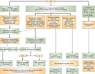 Рис. 2. Система определения стадии онкологического процесса согласно рекомендациям Барселонской клиники лечения рака печени
