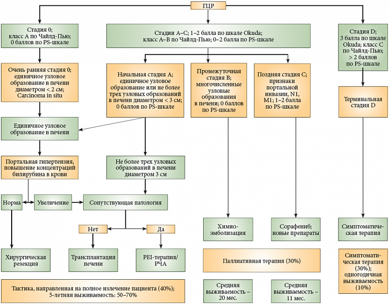 Гепатоцеллюлярная карцинома классификация. BCLC классификация. Опухоли печени классификация. Терапия рака печени