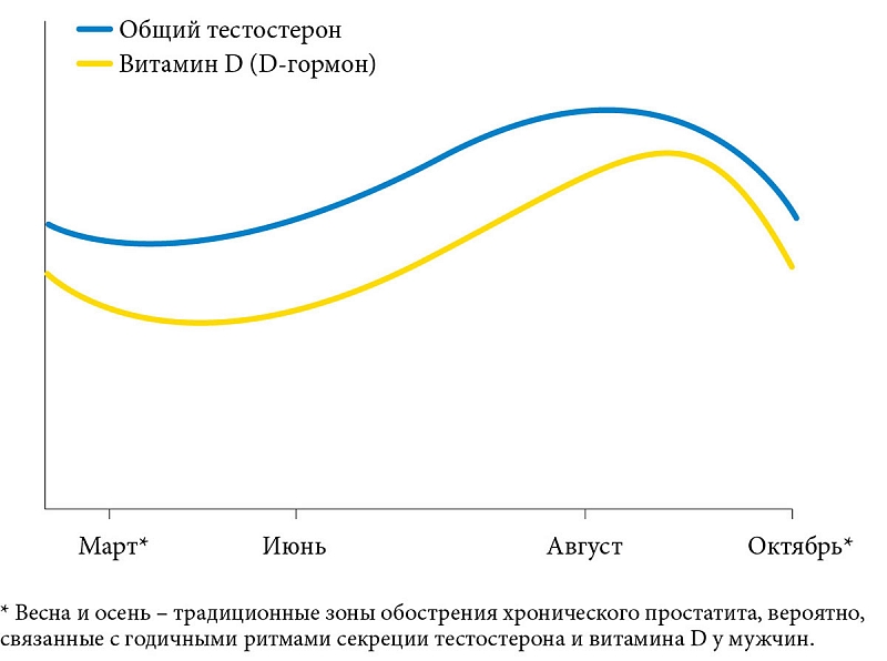 D- vitamin a prosztatitisből