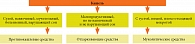 Рис. 2. Алгоритм выбора лекарственных средств при лечении заболеваний, сопровождающихся кашлем