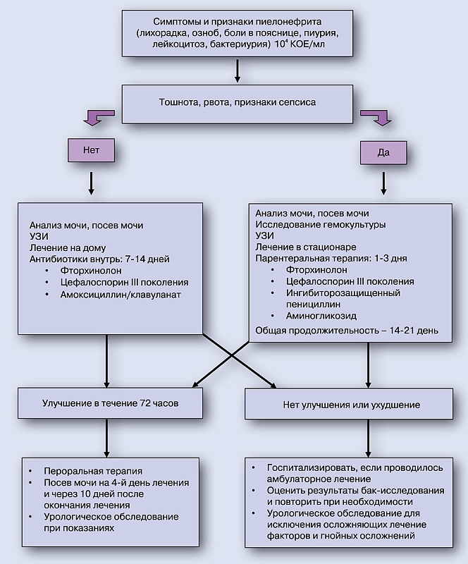 Схема лечения сигмоидита