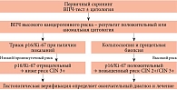 Рис. 2. Предлагаемый алгоритм применения ВПЧ-тестирования, цитологии, p16/Ki-67 и кольпоскопии (алгоритм является схемой интеграции данных современных рекомендаций и не заменяет локальные клинические протоколы)