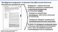 Рис. 4. Слайд из доклада д.м.н., профессора Е.А. Аравийской