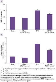 Рис. 2. Эффекты MESC-exocur: