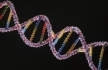 Американские генетики предложили узаконить право пациента на отказ от ДНК-тестов