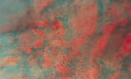 Рис. 2. Микроэндоскопическая картина слизистой оболочки полости носа у больных хроническим полипозным риносинуситом. Окраска метиленовым синим. Увеличение × 60
