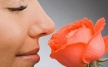 Ученые объяснили взаимосвязь между чувством голода и восприимчивостью к запахам