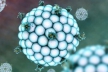 Наногубки помогают иммунитету справиться с бактериальными токсинами