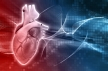 Нарушение сборки митохондриального комплекса II в сердце способствует развитию дилатационной кардиомиопатии 