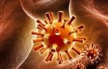 Биоинженеры создали искусственные вирусы на основе ДНК