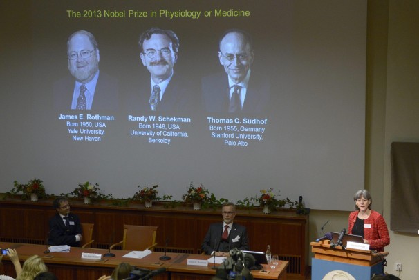 Нобелевская премия по физиологии или медицине за 2013 год присуждена Джеймсу Ротману, Ренди Шекману и Томасу Зюдоф.