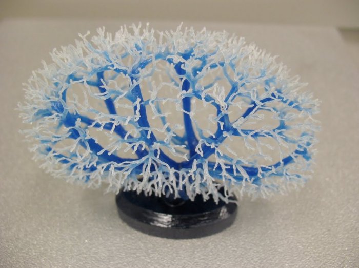 Cосудистое дерево почки, напечатанное из пластика на 3d-принтере
