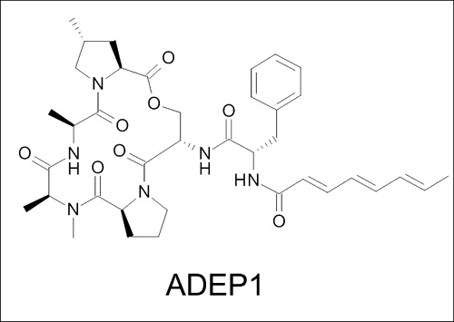 Структурная формула одного из антибиотиков ADEP (рисунок Heinrich-Heine-Universität).