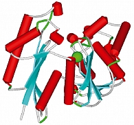 Рисунок 10. Пространственная структура эктонуклеозид дифосфогидролазы  (PDB 1t6c). Показан ион магния в активном центре фермента