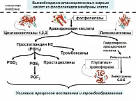 Рисунок 4. Каскад биотрансформаций арахидоновой кислоты