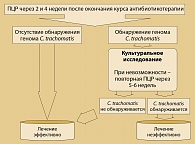Рисунок 1. Схема контроля эффективности терапии  урогенитального хламидиоза