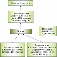 Рис. 1. Параметры кровотока при внутрипеченочной портальной гипертензии. Клинические проявления портальной гипертензии 