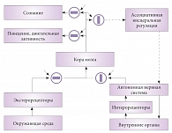 Рис. 2. Схема состояния информационных потоков организма в период бодрствования