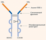Рис. 2. Структура молекулы дулаглутида