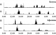 Рис. 2. Спектральная мощность медленных волн (1,2–4 Гц) электрокортикограммы в правом (П) и левом (Л) полушариях у белухи и дельфина-афалины на протяжении суточного сеанса