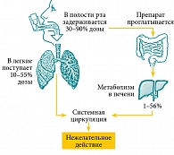 Таблица 2. Эквипотентные суточные дозы (мкг) ингаляционных ГКС для детей старше 5 лет