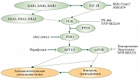 Рис. 7. Ингибиторы PI3K/Akt-сигнального пути