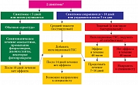Рис. 1. Алгоритм ведения пациентов с острым риносинуситом для врачей первичного звена (EPOS 2012)