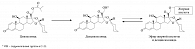 Рис. 1. Молекула циклесонида, дезциклесонида и конъюгат дезциклесонида с жирными кислотами 