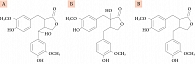 Рис. 6. Химические структуры 7-ГМР (А), матаирезинола (Б) и нортрахелогенина (В)