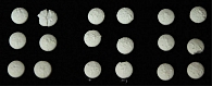 Рис. 5. Вид таблеток Новобисмол после теста на распадаемость (среда исследования – 0,1 М HCl, 30 минут)