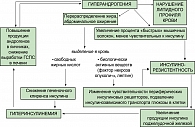 Рисунок 2. Роль гиперандрогении в развитии метаболического синдрома