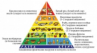 Рис. 2. Пирамида здорового питания, построенная с учетом новейших рекомендаций диетологов и кардиологов