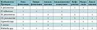 Таблица 5. Эффективность антибиотиков в отношении типичных и нетипичных возбудителей риносинусита