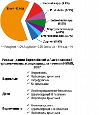 Рисунок 1. Этиология инфекций мочевых путей у беременных (АРИМБ 2003)