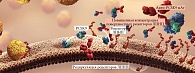 Рис. 4. Нарушение взаимодействия между рецепторами ЛПНП и PCSK9 может снизить уровень ХС ЛПНП