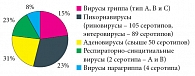 Рис. 1. Этиологическая структура ОРВИ в российской популяции