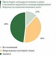 Рисунок. Влияние Прожестожеля на раковые клетки молочной железы через 72 часа после применения